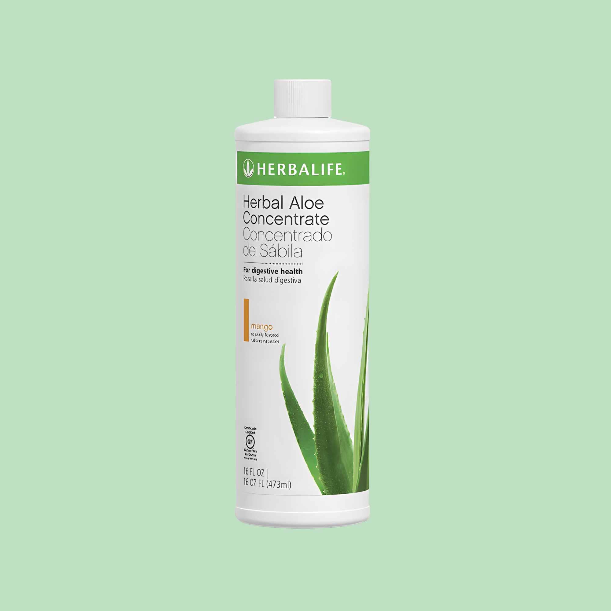 Herbal Aloe Concentrate: Mango Pint – Herbal City