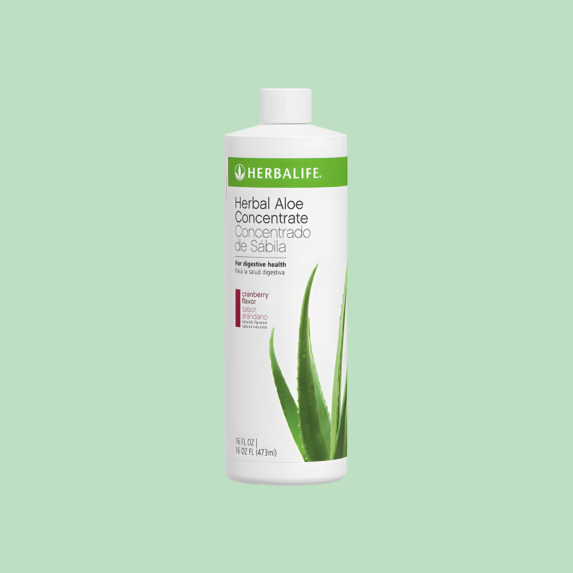 Herbal Aloe Concentrate: Cranberry Pint - Lecse