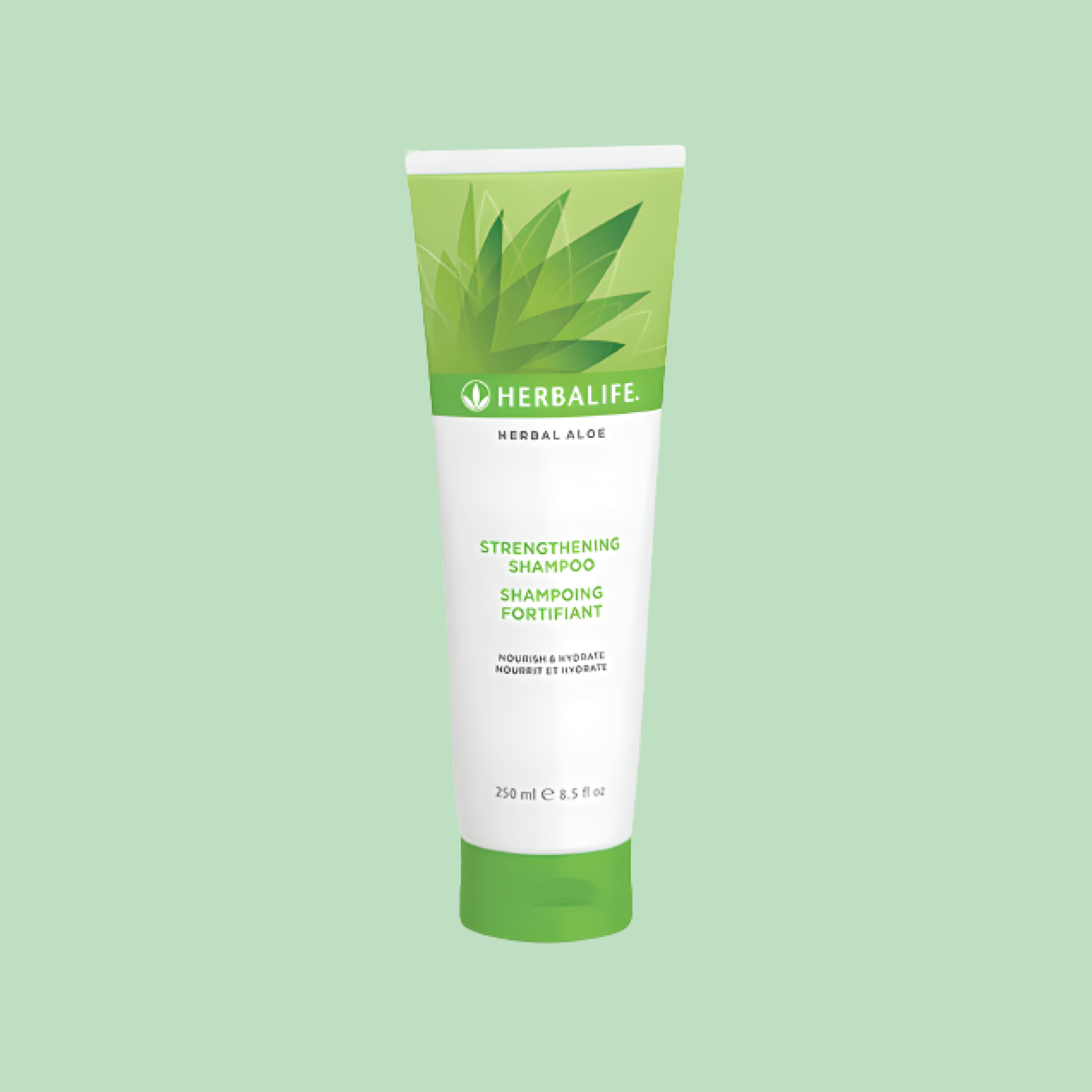 Herbal Aloe Strengthening Shampoo - Lecse